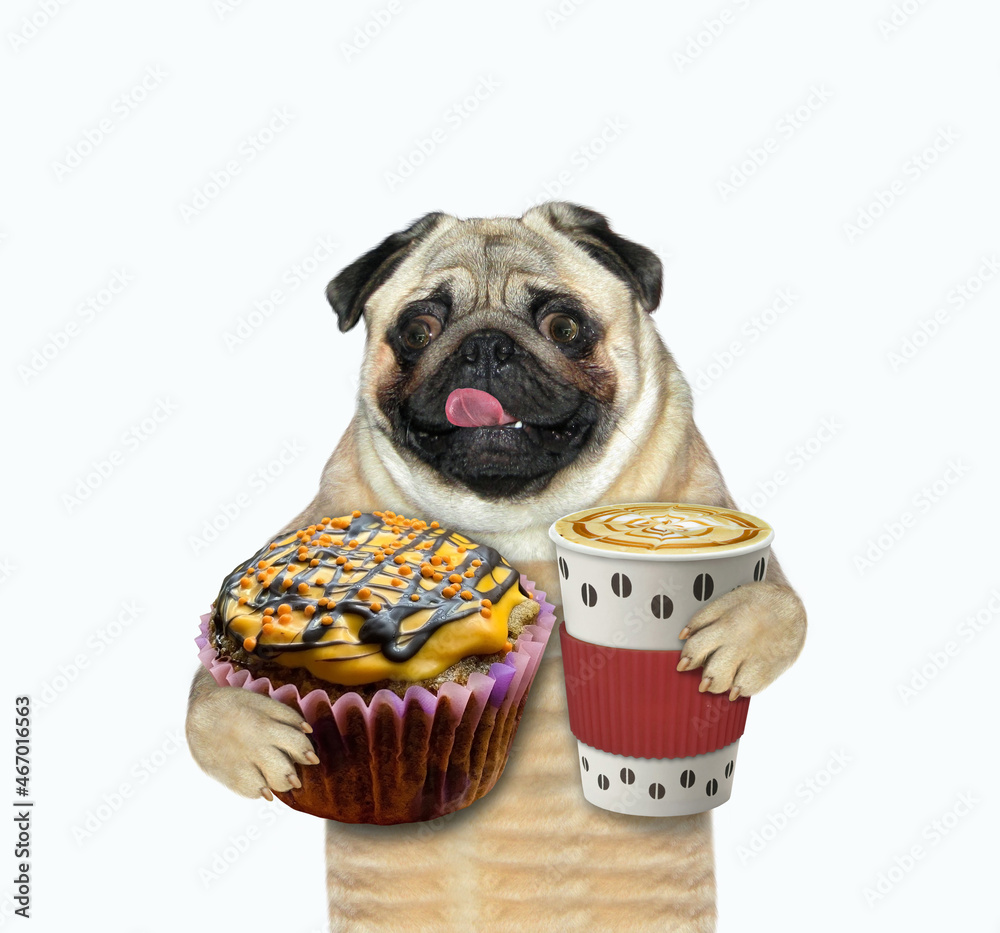 Can A Dog Eat A Muffin Wrapper