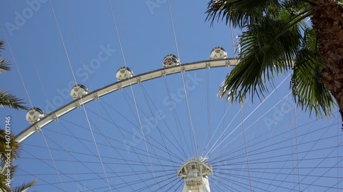Ferris Wheel with Palm Trees in foreground