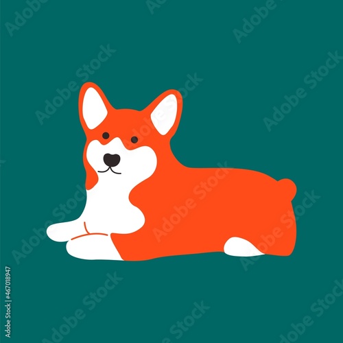 Funny cartoon corgi dog. Pembroke welsh corgi, lying sitting smiling abstract cute puppy. Vector isolated illustration