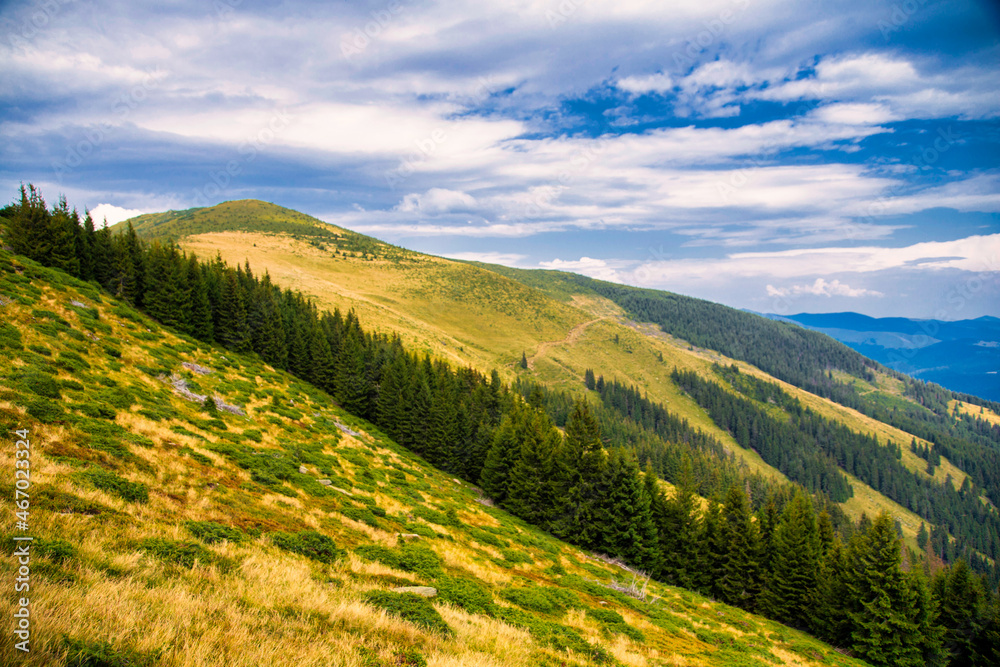 Obraz premium landscape in the summer