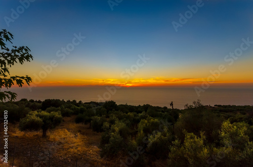Orange glow of a setting sun behind the sea. A grove of olive trees lightly illuminated in the foreground. 