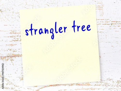 Yellow sticky note on wooden wall with handwritten word strangler tree photo
