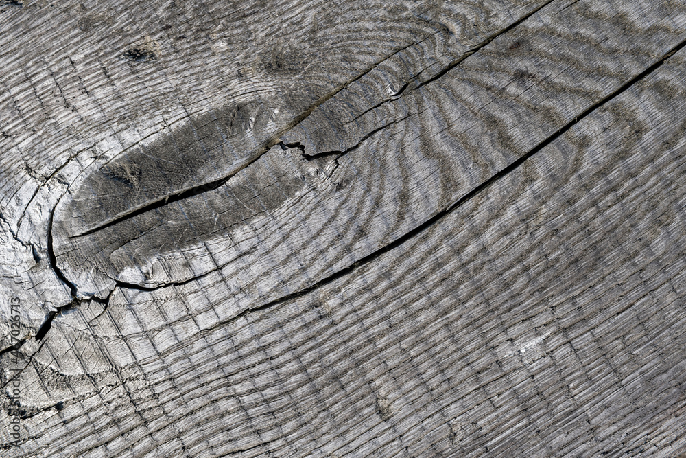 Fototapeta premium Old, gray, cracked wood 
