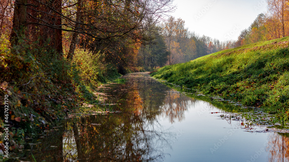 kanał jesień woda odbicie drzewa