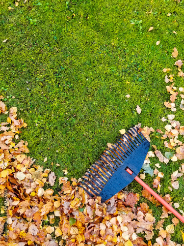 Pile of fall leaves with fan rake on lawn. View from above. Copy space