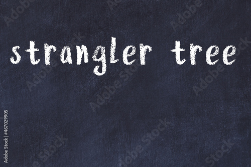 College chalk desk with the word strangler tree written on in photo