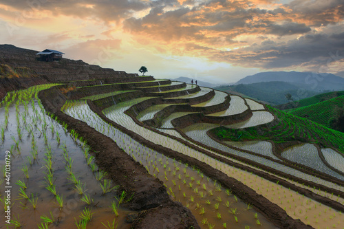 Two farmers working in flooded terraced rice fields at sunset, Ban Papongpieng , Chiang Mai, Thailand photo