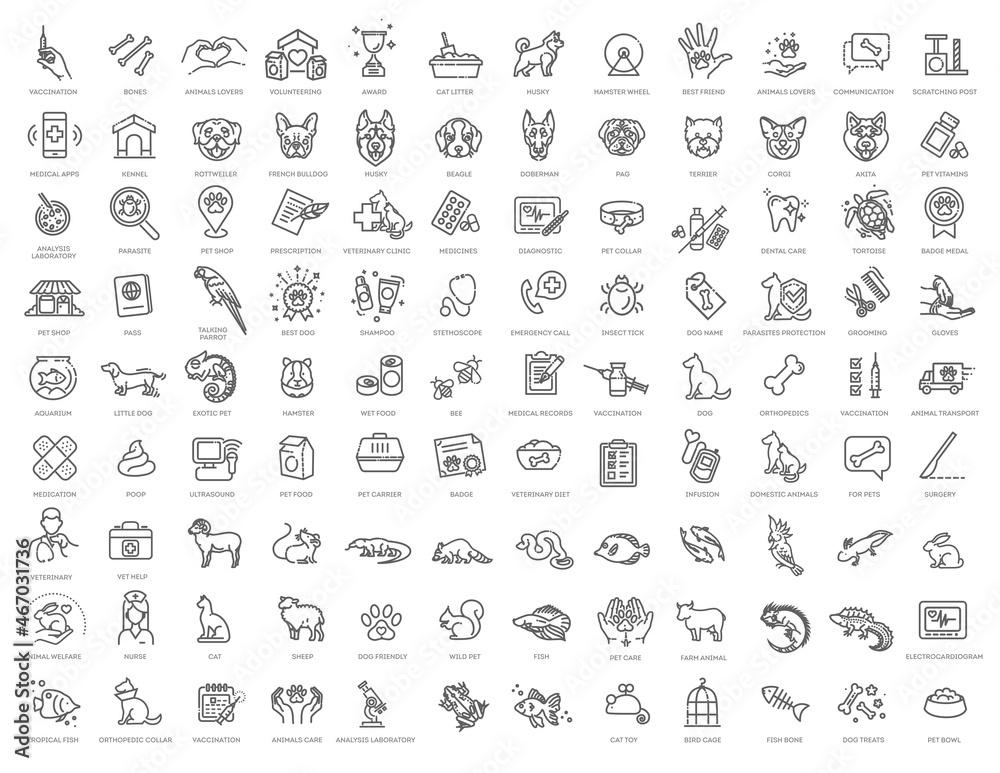 Veterinarian icons set. Outline set of veterinarian vector icons