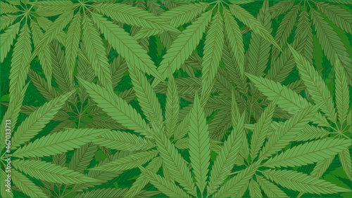Green cannabis leaves pattern background