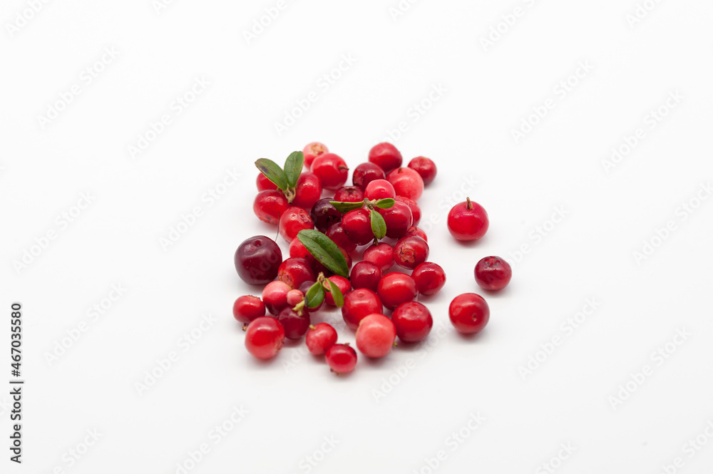red cranberry isolated on white red cranberry isolated on white