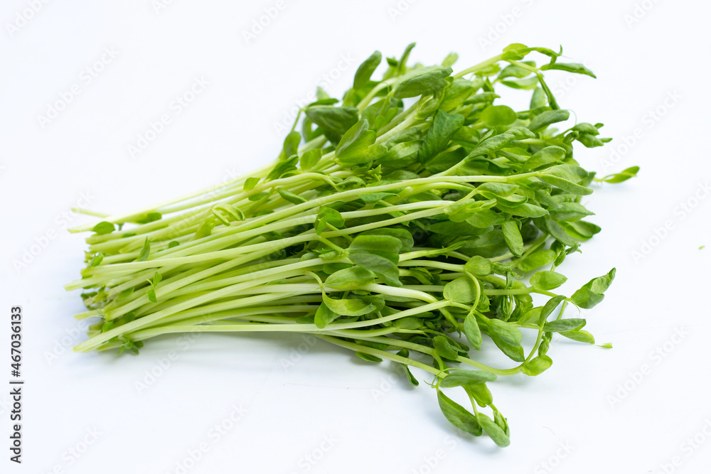 Pea Sprouts on white background. Pea Sprouts on white background.
