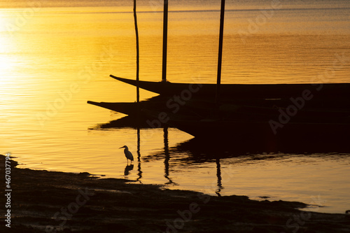 Silhouette at sunset of canoes docked in the grandiose Paraguacu river. photo