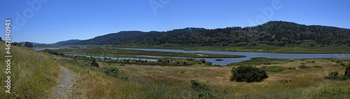 Wetlands at South End of Tomales Bay, California