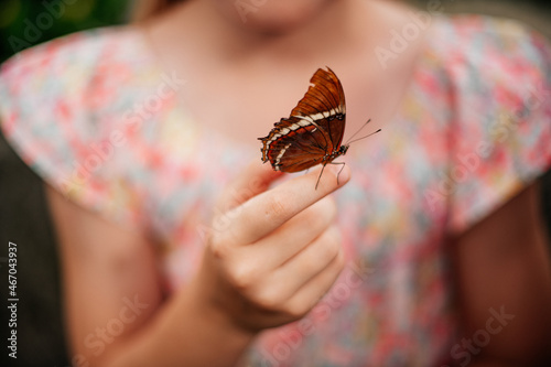 butterfly on the hand