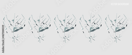 Abstract illustration of Dadap serep (Erythrina subumbrans) leaf skeleton for background photo