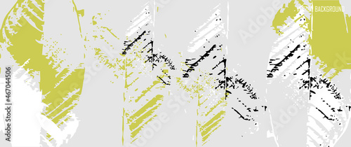Abstract illustration of guava leaf skeleton (Psidium guajava L) for background