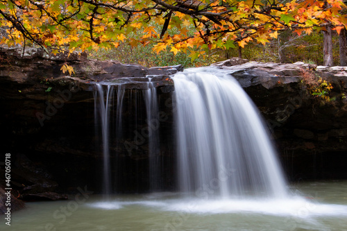 Fototapeta Naklejka Na Ścianę i Meble -  Autumn Leaf Waterfall Canopy