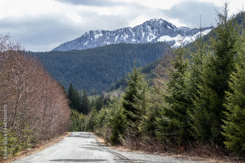 road to snow capped mountains at Nanaimo Lakes