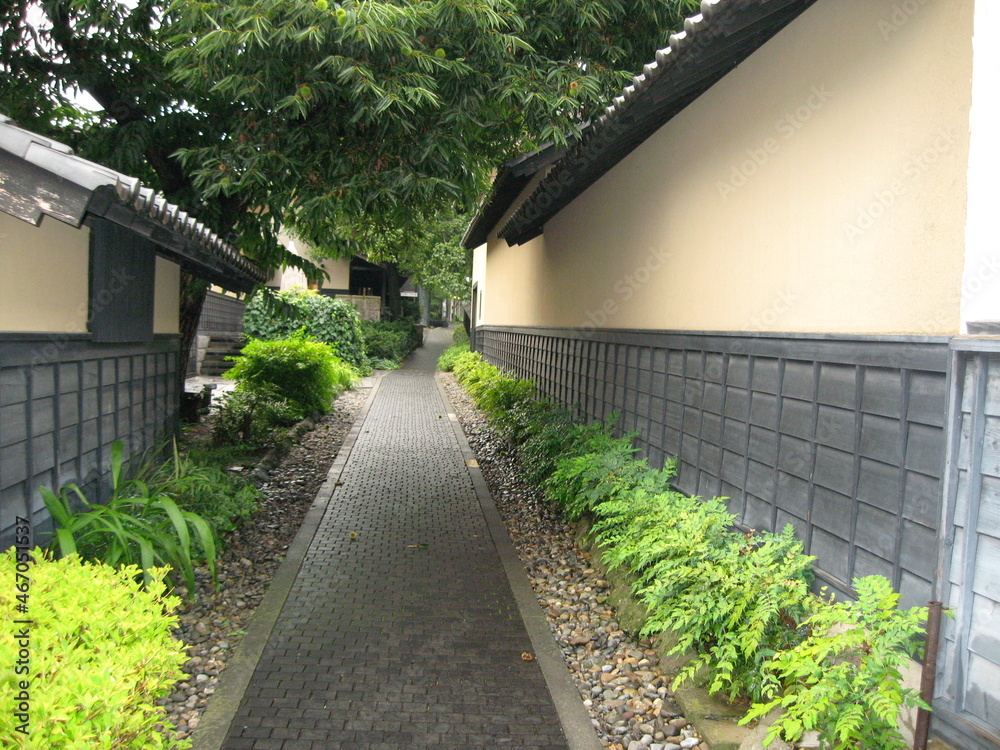 路地 路地