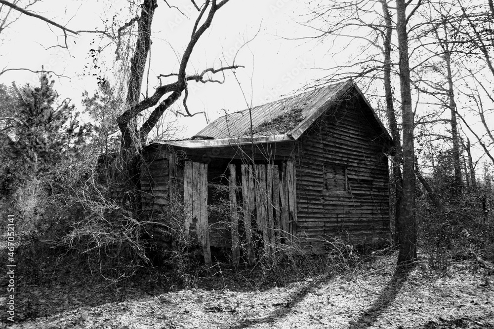 spooky horror haunted abandoned rural shack house farm barn black white dramatic architectural landscape background spooky horror haunted abandoned rural shack house farm barn black white dramatic architectural landscape background