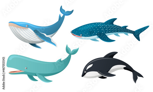 Whales collection in cartoon illustration