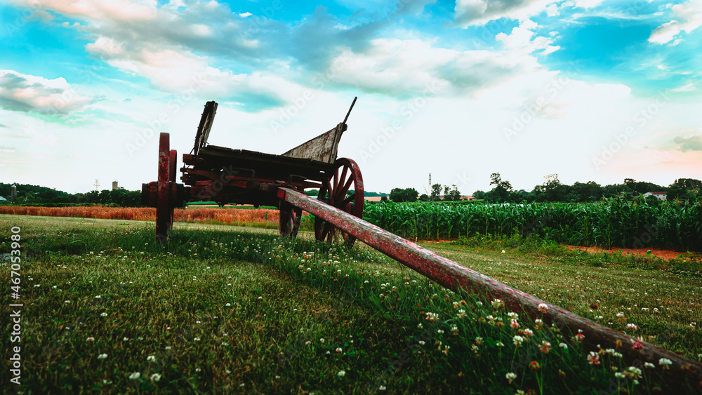Fototapeta premium Wagon in Field