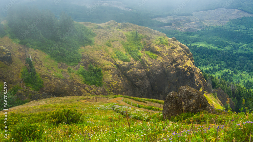 Obraz premium Saddle Mountain State Natural Area Park, Oregon