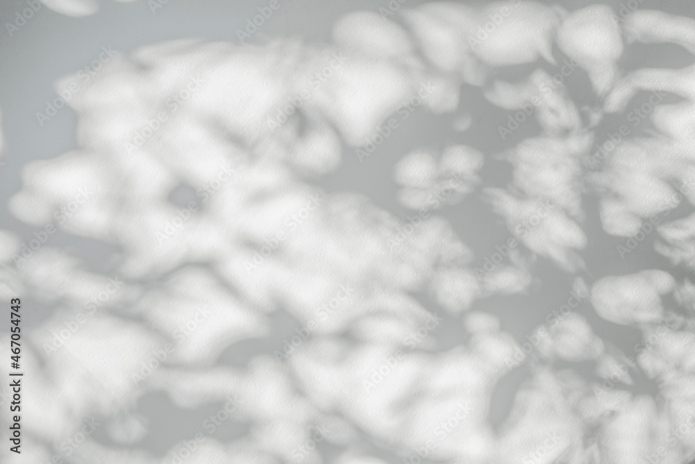 Shadow and sunshine of leaves reflection. Jungle gray darkness shade and lighting on concrete wall for wallpaper, shadows overlay effect Shadow and sunshine of leaves reflection. Jungle gray darkness shade and lighting on concrete wall for wallpaper, shadows overlay effect