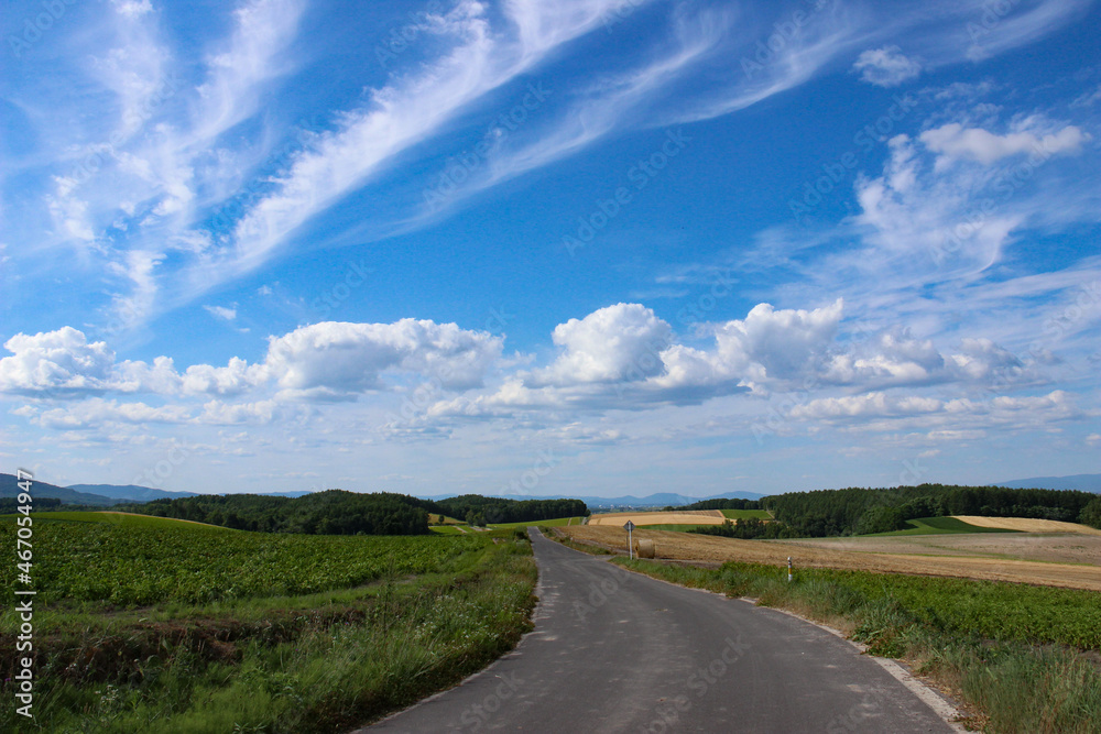 青空と農村の道
青空と農村の道