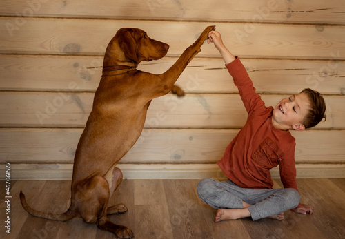 dog gives paw to boy