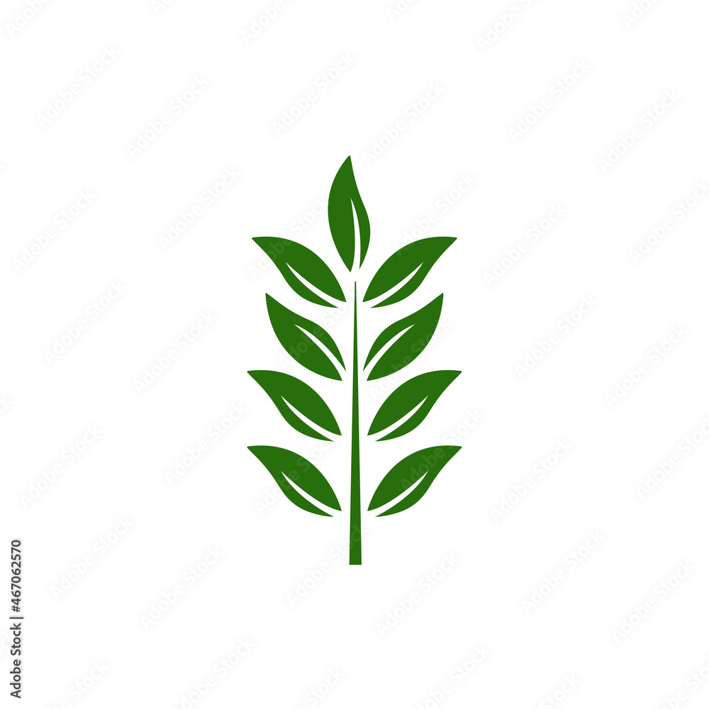 Naklejka premium leaf branch icon design template vector