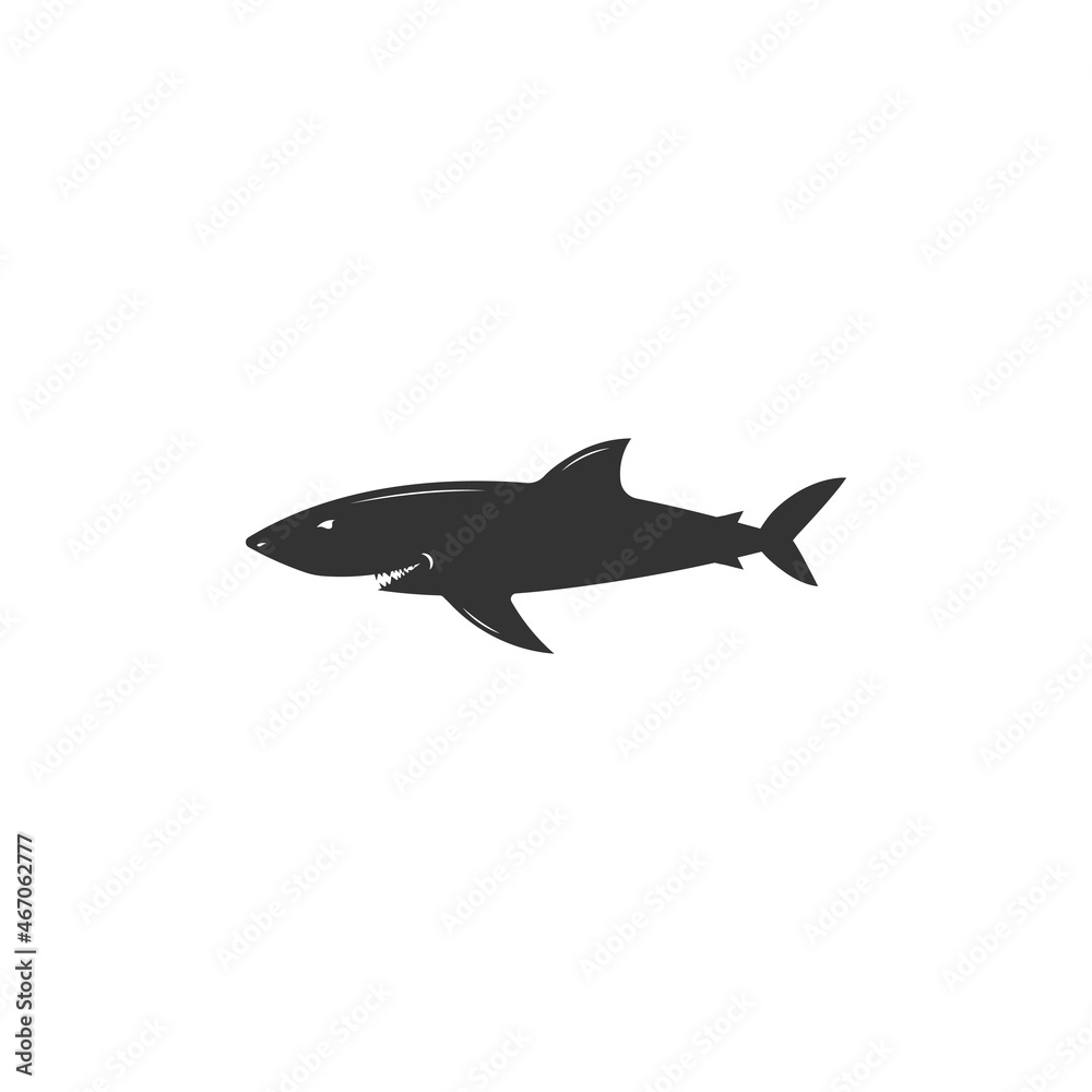 Shark icon design template vector isolated illustration Shark icon design template vector isolated illustration