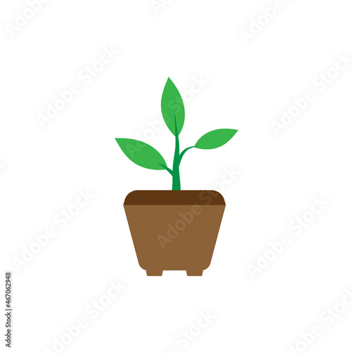 Plant pot icon design template vector isolated illustration