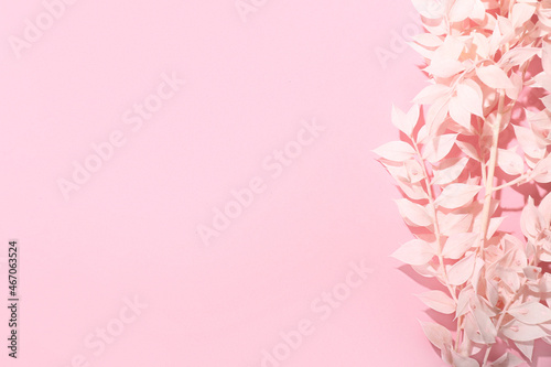 Beautiful dried flower on pink background, closeup
