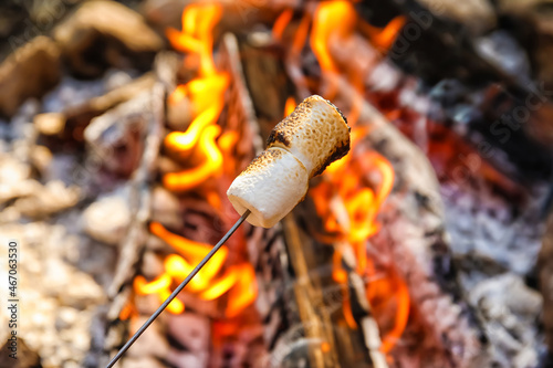 Fototapeta Naklejka Na Ścianę i Meble -  Roasting of tasty marshmallows on fire outdoors