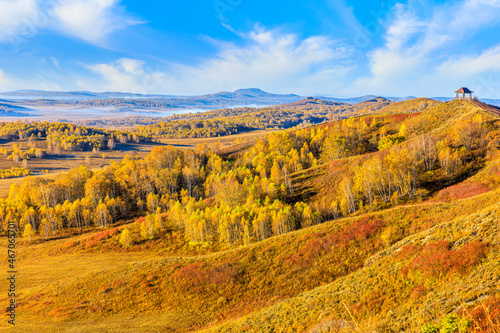 Beautiful mountain and forest natural landscape in autumn.Beautiful autumn scenery in the Wulan Butong grassland,Inner Mongolia,China.