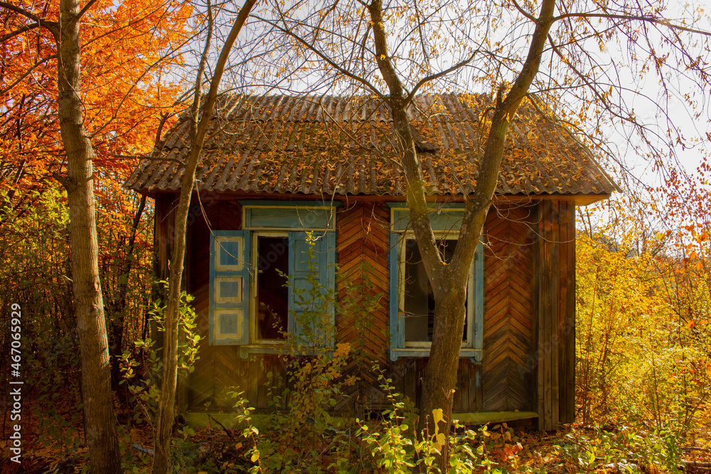 An abandoned village house in the autumn thickets. Autumn trees and the ruins of a small wooden house. An abandoned village house in the autumn thickets. Autumn trees and the ruins of a small wooden house.