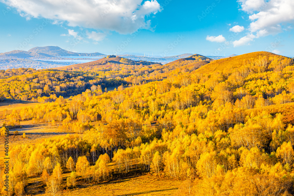 Beautiful mountain and forest natural landscape in autumn.Beautiful autumn scenery in the Wulan Butong grassland,Inner Mongolia,China.