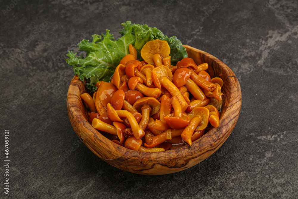 Marinated mushroom - honey agaric in the bowl Marinated mushroom - honey agaric in the bowl