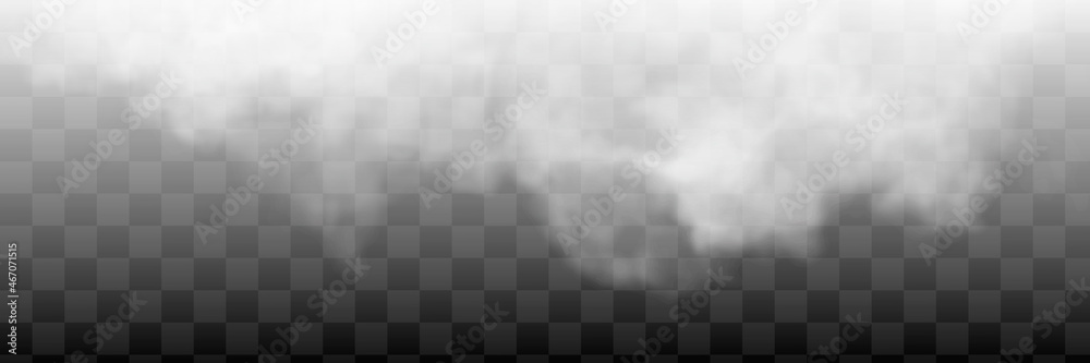 Fototapeta premium Transparent special effect stands out with fog or smoke. White cloud vector, fog or smog.