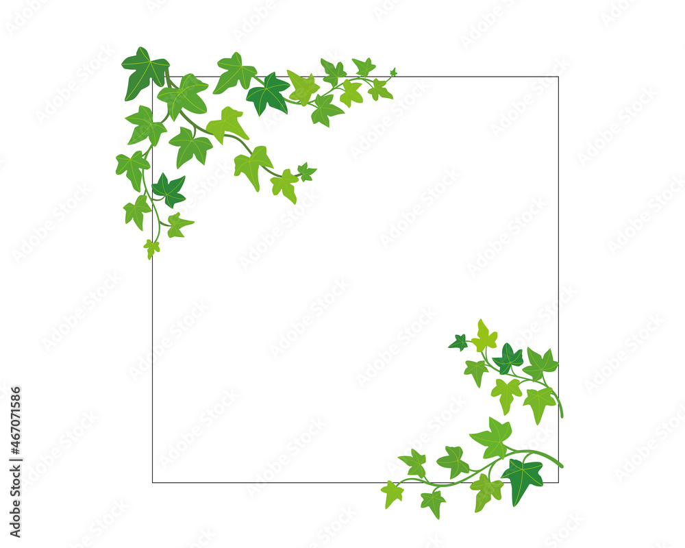 ちょっとした飾りに使えるグリーンの葉っぱフレーム アイビー Stock Vector Adobe Stock