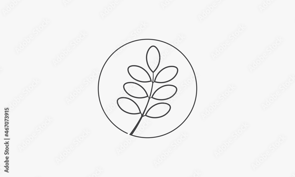 line icon circle leaf moringa isolated on white background. line icon circle leaf moringa isolated on white background.