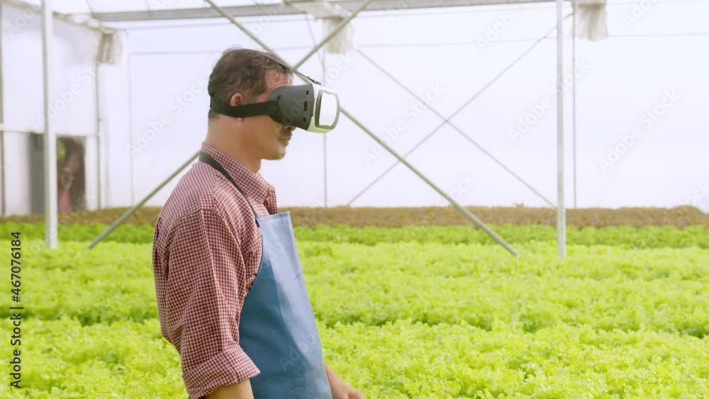 Happy senior farmer wearing vr box in hydroponic greenhouse farm, clean food and agricultural technology concept Happy senior farmer wearing vr box in hydroponic greenhouse farm, clean food and agricultural technology concept