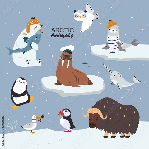 Arctic Animal with Penguin and Polar Bear in Warm Knitted Hat Vector Illustration