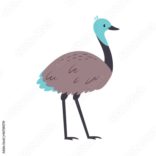 Emu Bird as Australian Animal with Long Neck and Legs Vector Illustration