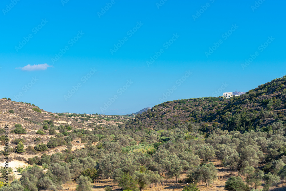 The so-called Tuscany Valley with many olive trees near Pitsidia and Matala on Crete. Olive trees are an integral part of Cretan-Greek agriculture and culture