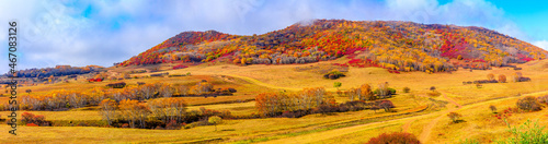 Colorful forest and mountain natural landscape in autumn.Beautiful autumn scenery in the Ulan Butong grassland,Inner Mongolia,China.
