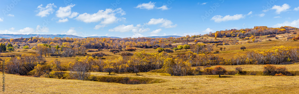 Beautiful mountain and forest natural landscape in autumn.Beautiful autumn scenery in the Wulan Butong grassland,Inner Mongolia,China.