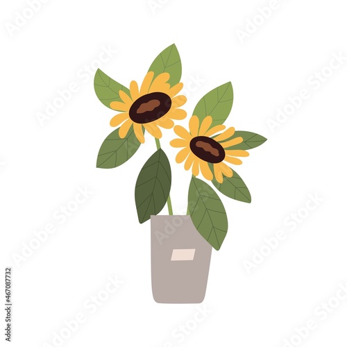 Sunflowers in bucket. Fresh cut field flowers with leaf in vase. Blossomed showy floral plant with leaves in pot. Colored flat vector illustration isolated on white background