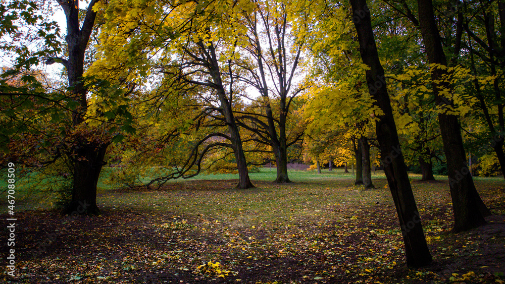 in the autumn season in the Szczytnicki Park in Wrocław
